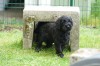 m_wurf_woche_8 (9)